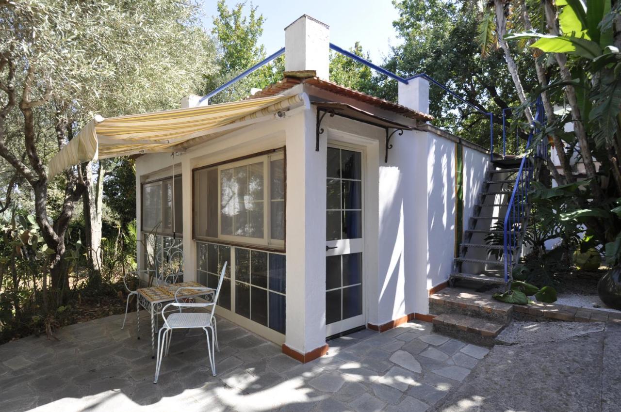 Villa Eva Κάπρι Εξωτερικό φωτογραφία